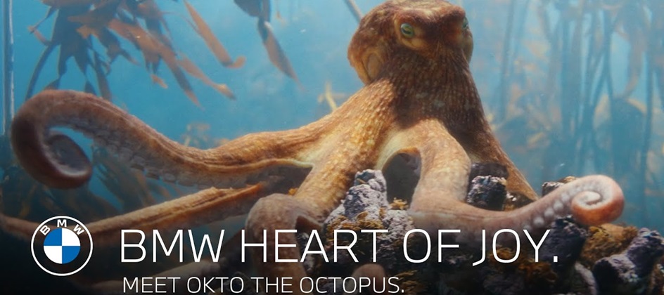BMW uses octopus metaphor to illustrate unified vehicle control